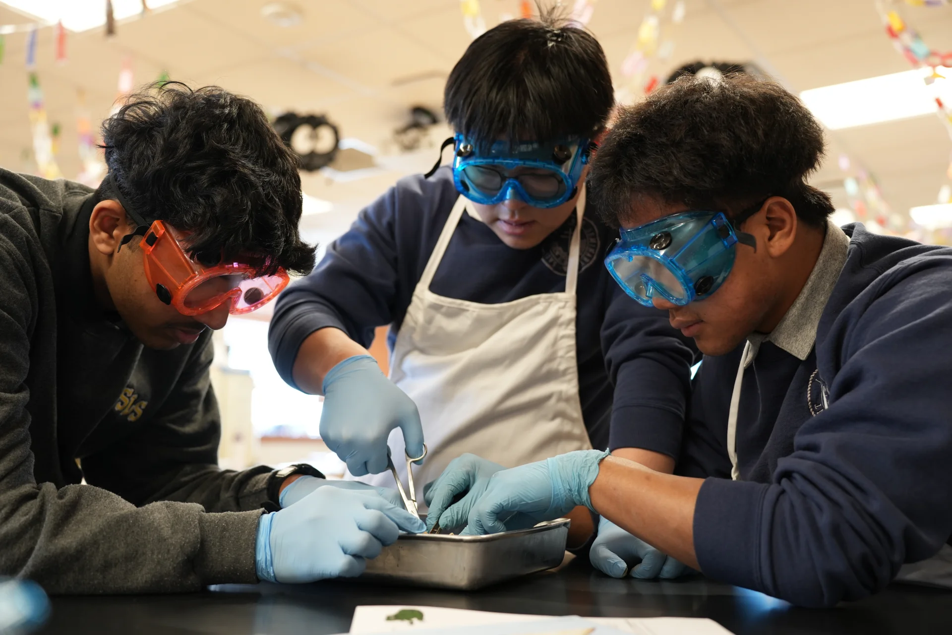 SLS students dissecting a frog