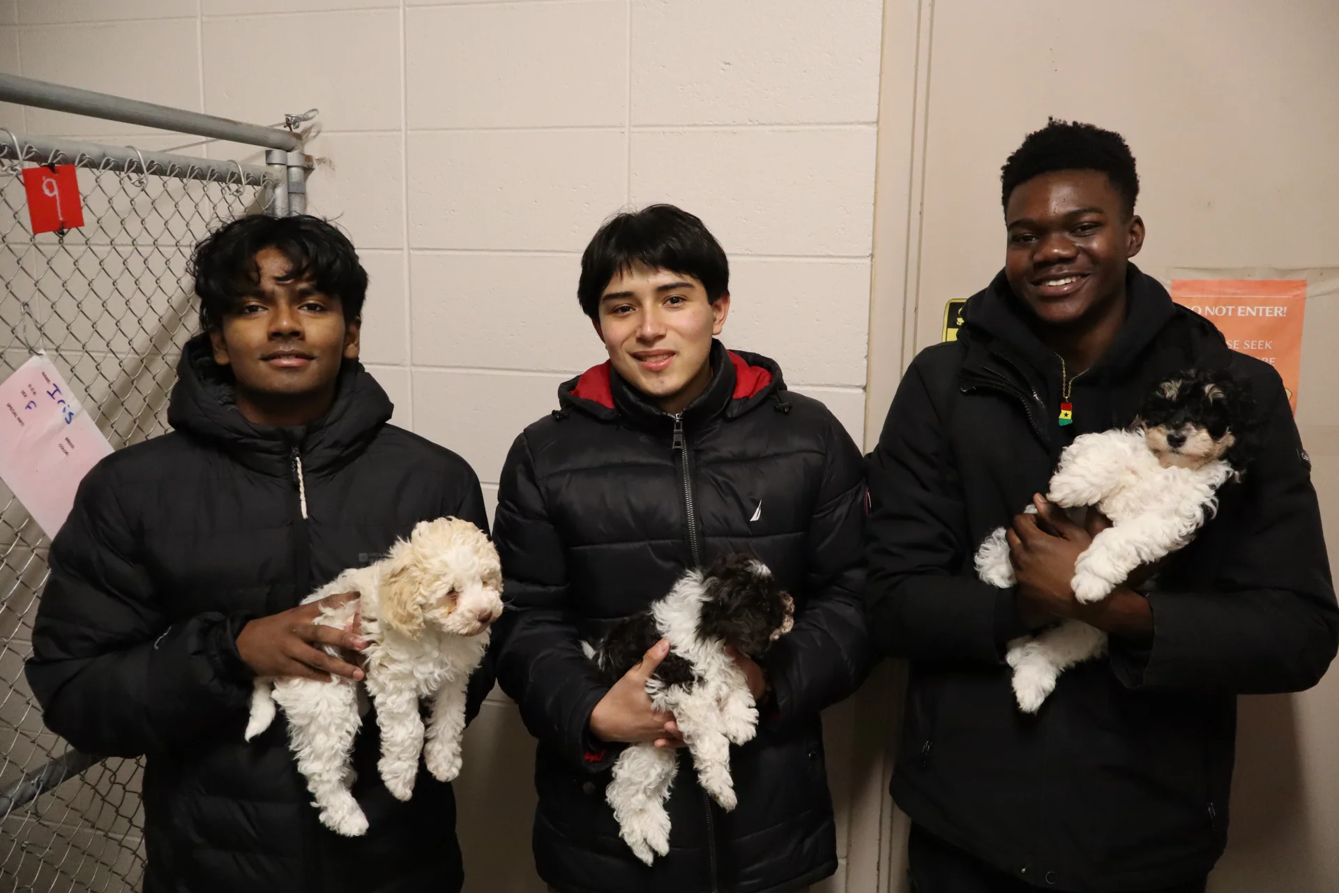 SLS Students Volunteering